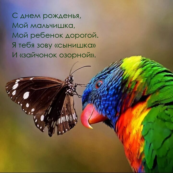 С днем рожденья, мой мальчишка, мой ребенок дорогой.