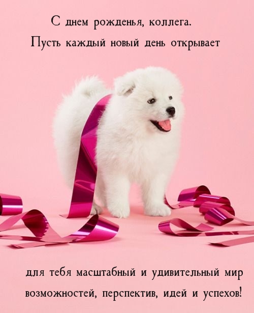 С днем рожденья, коллега. Пусть каждый новый день открывает