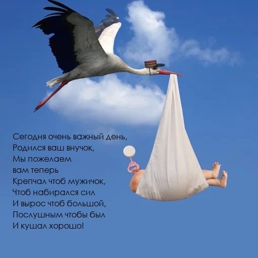 Сегодня очень важный день, родился ваш внучок