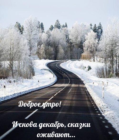Доброе утро! И снова декабрь, сказки оживают…