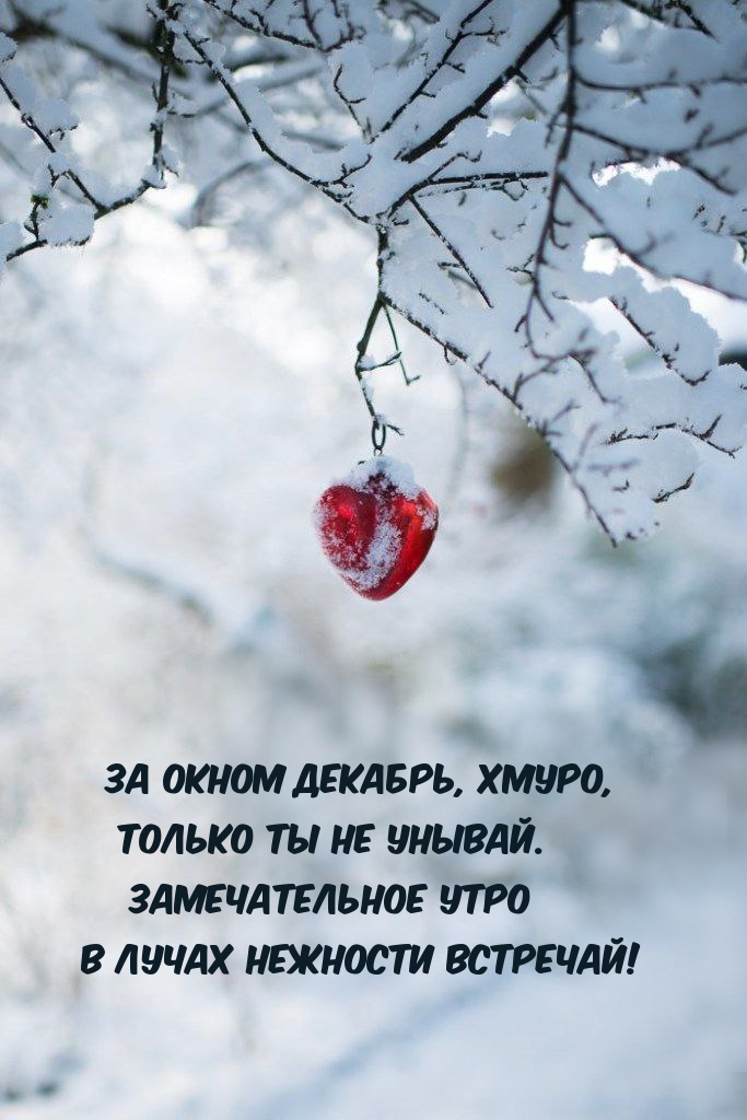 За окном декабрь, хмуро, Только ты не унывай.