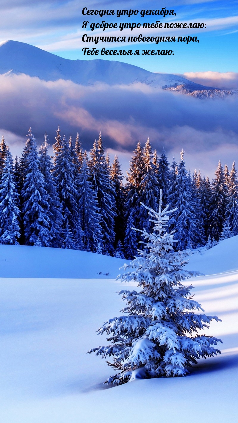 Сегодня утро декабря, я доброе утро тебе пожелаю.
