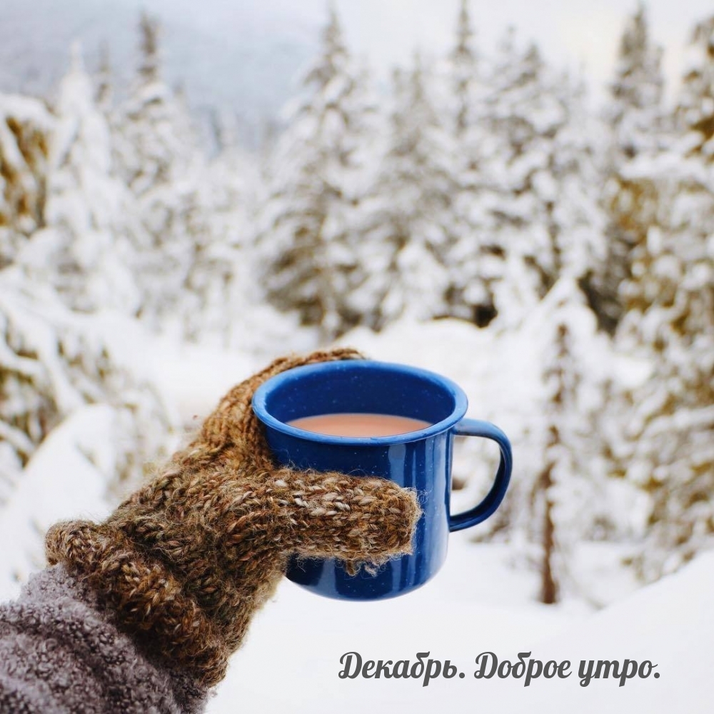Декабрь. Доброе утро.