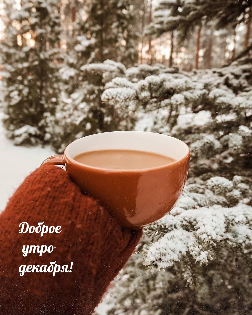 Доброе утро декабря!
