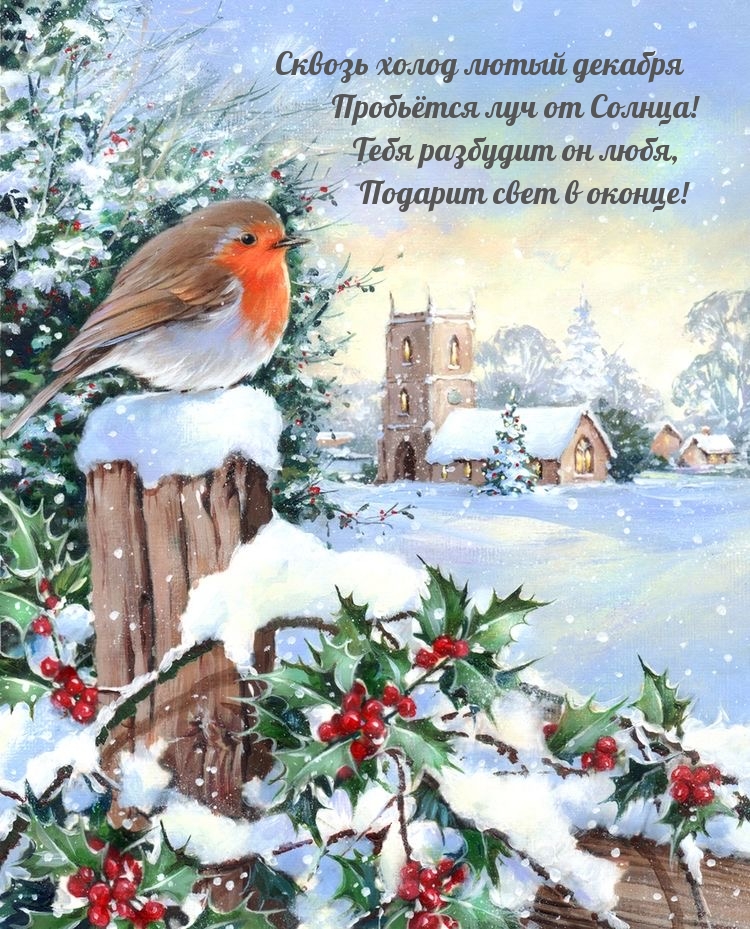 Сквозь холод лютый декабря пробьётся луч от Солнца!