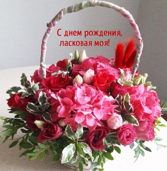 С днем рождения, ласковая моя!