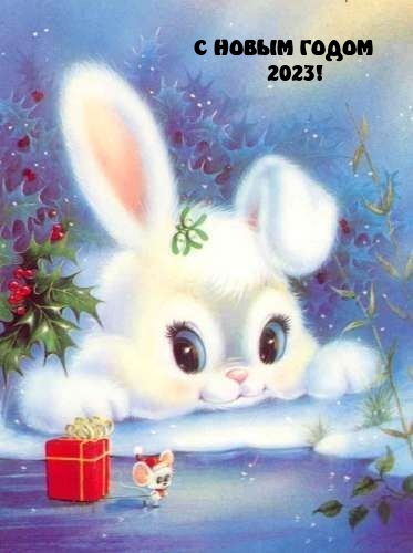 С НОВЫМ ГОДОМ 2023!
