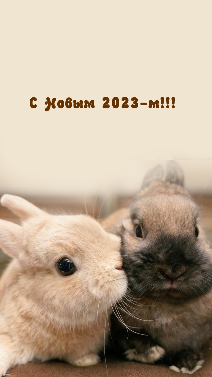 С Новым 2023-м!