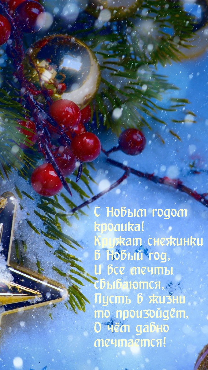 С Новым годом кролика! Кружат снежинки в Новый год