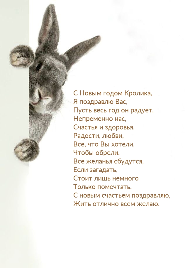 С Новым годом Кролика, я поздравлю Вас