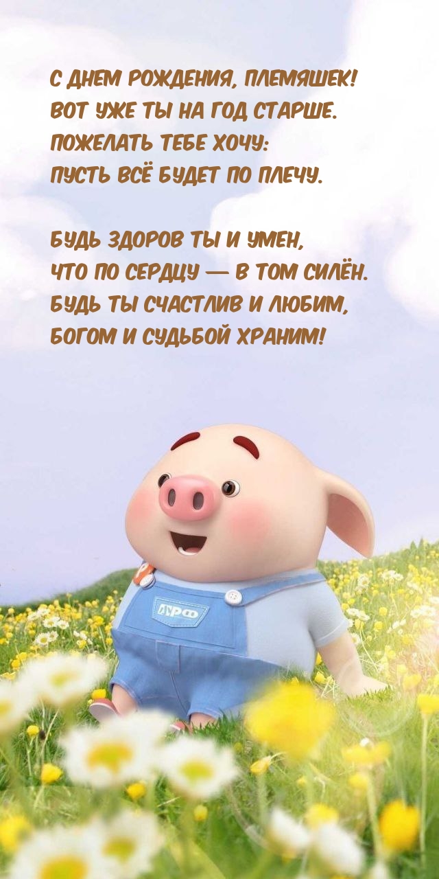 С днем рождения, племяшек! Вот уже ты на год старше.