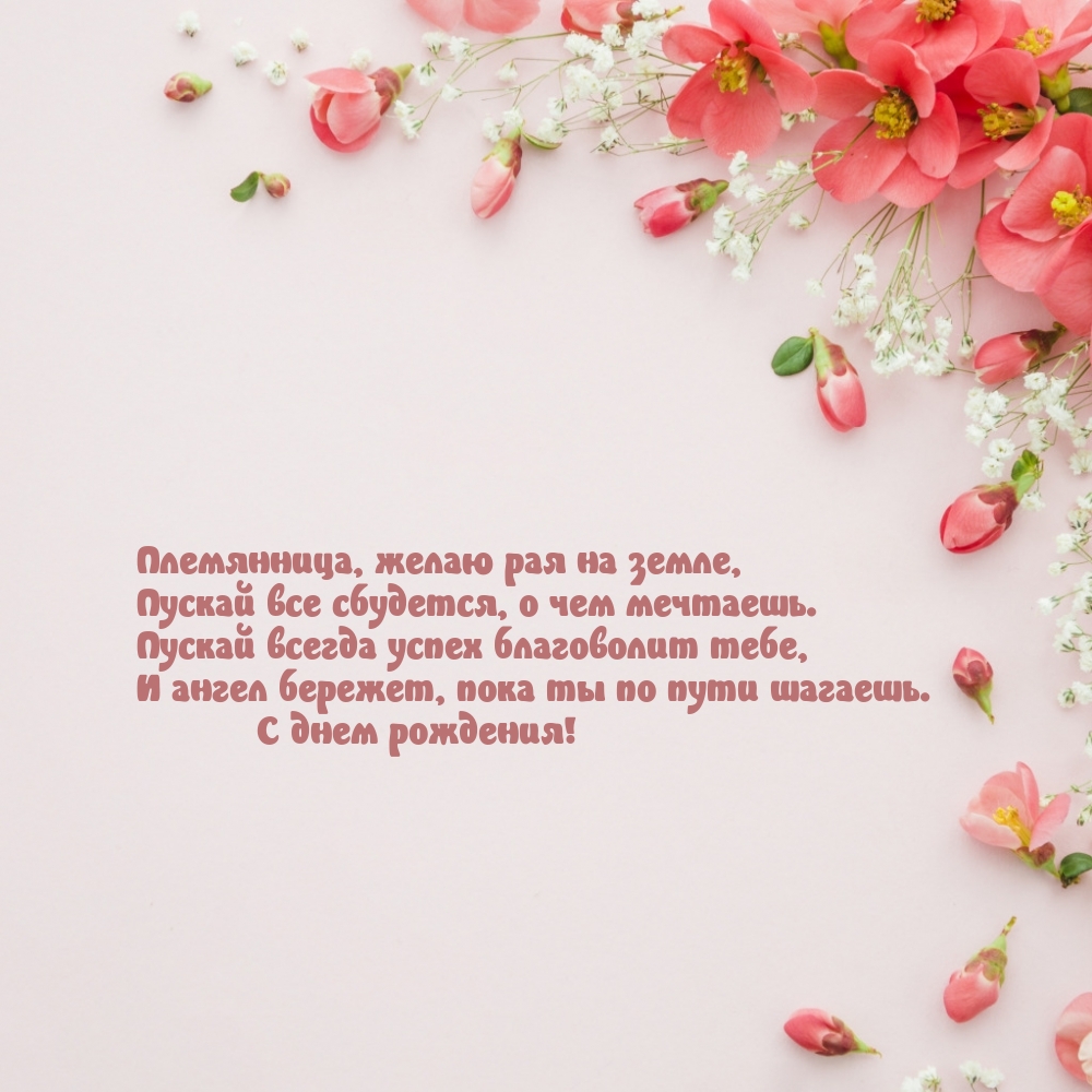 Племянница, желаю рая на земле, пускай все сбудется, о чем мечтаешь.