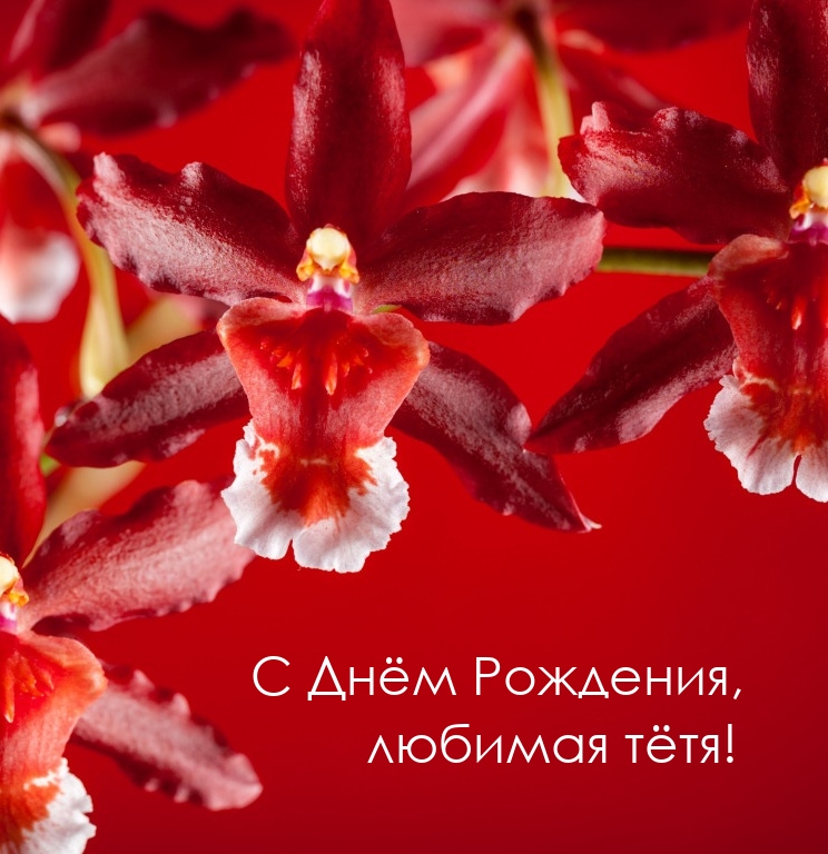 С Днём Рождения, любимая тётя!