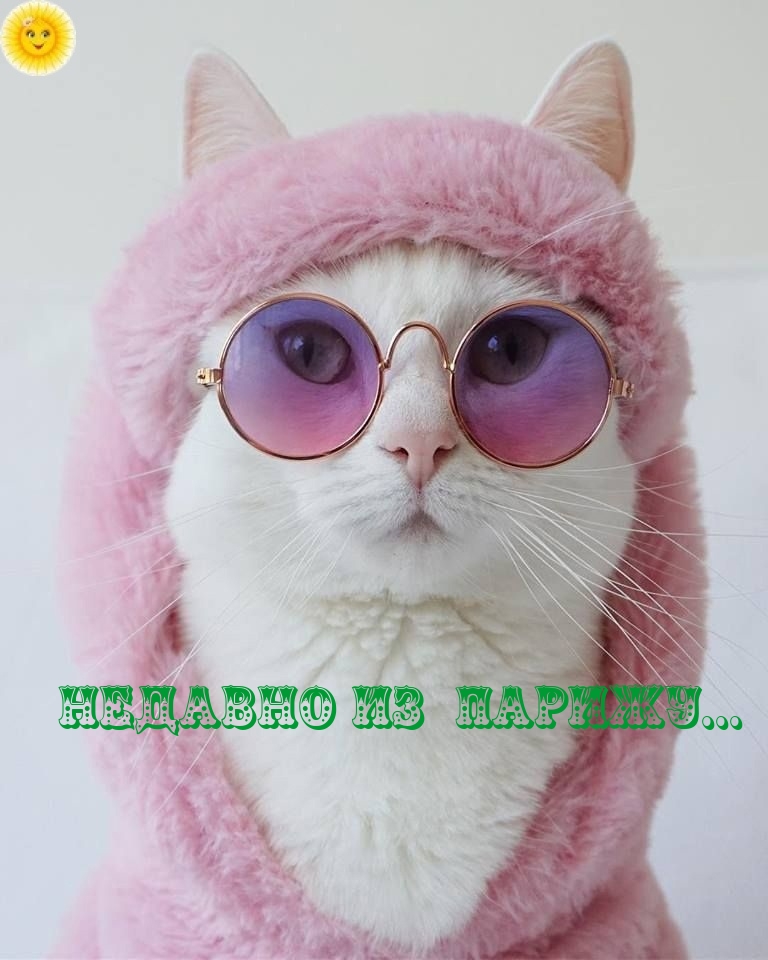 НЕДАВНО ИЗ ПАРИЖУ…