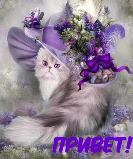 Котин привет.