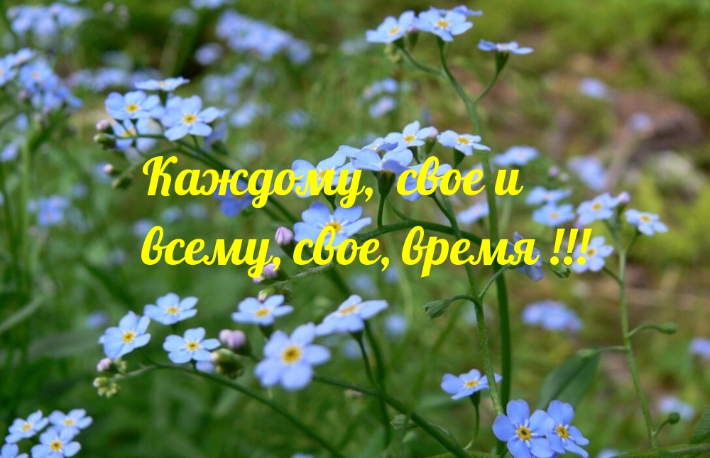 Каждому, свое и всему, свое, время!