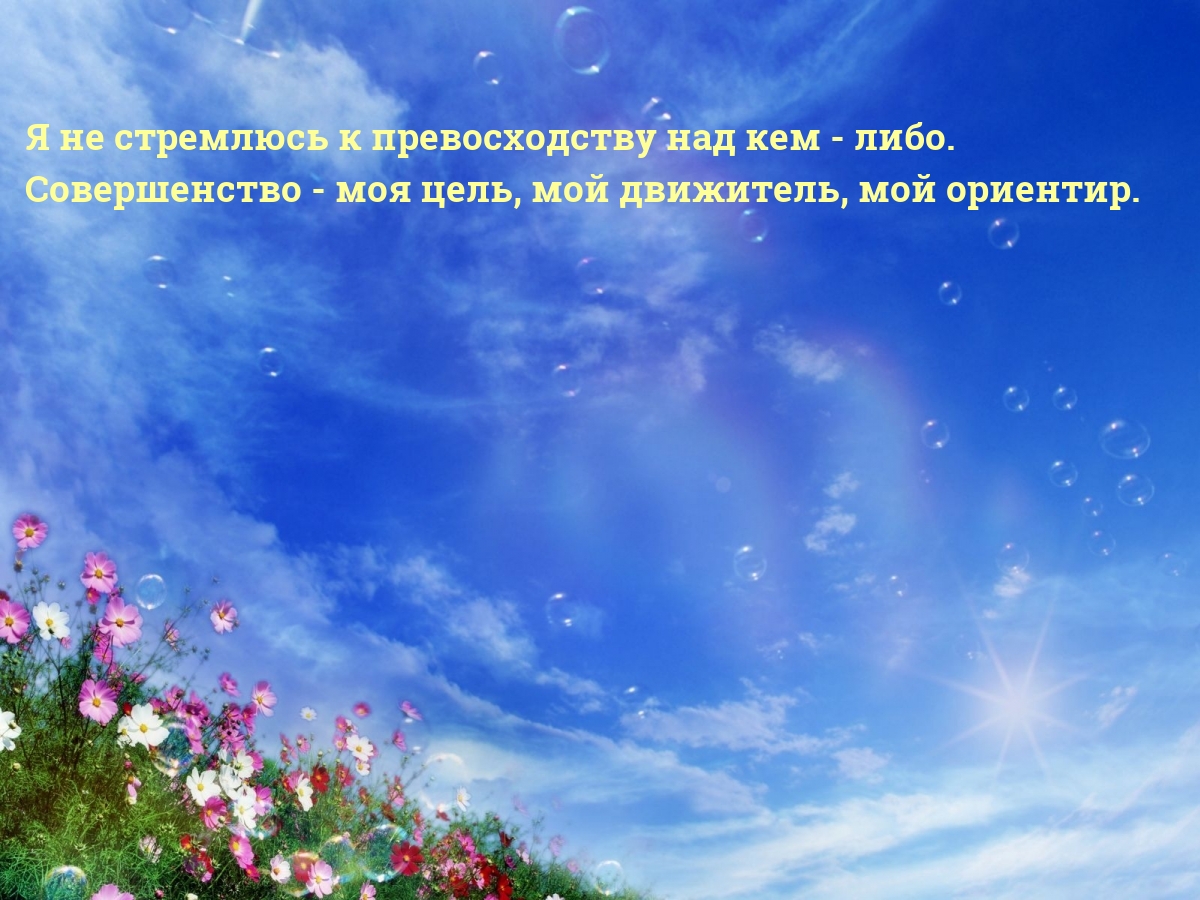 Совершенство — моя цель, мой движитель, мой ориентир.