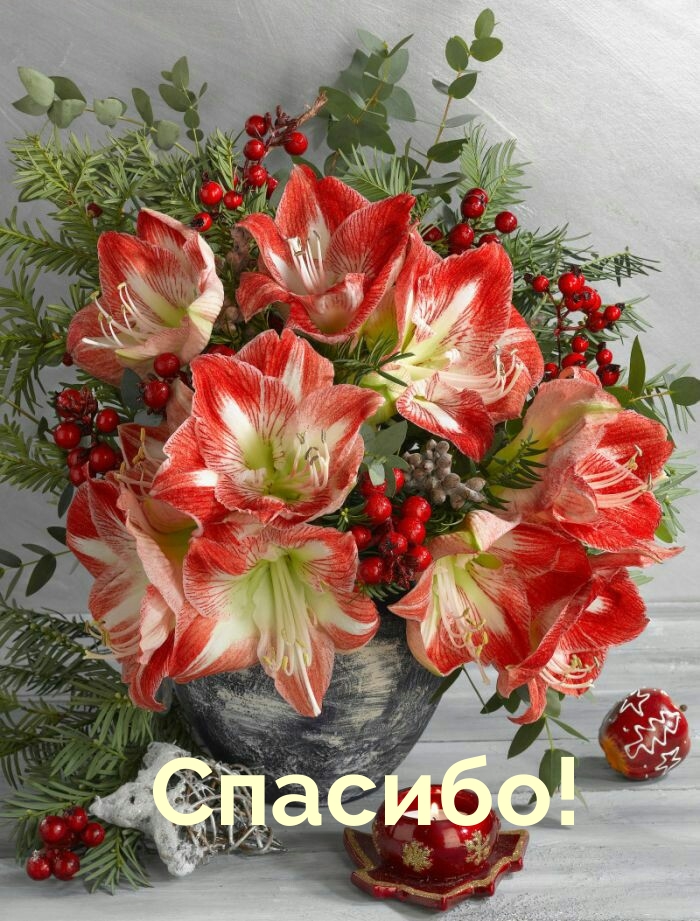 Спасибо!