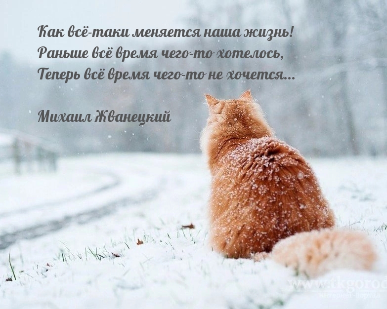 Как всё-таки меняется наша жизнь!