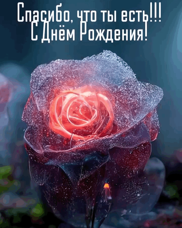 Спасибо, что ты есть! С Днём Рождения!