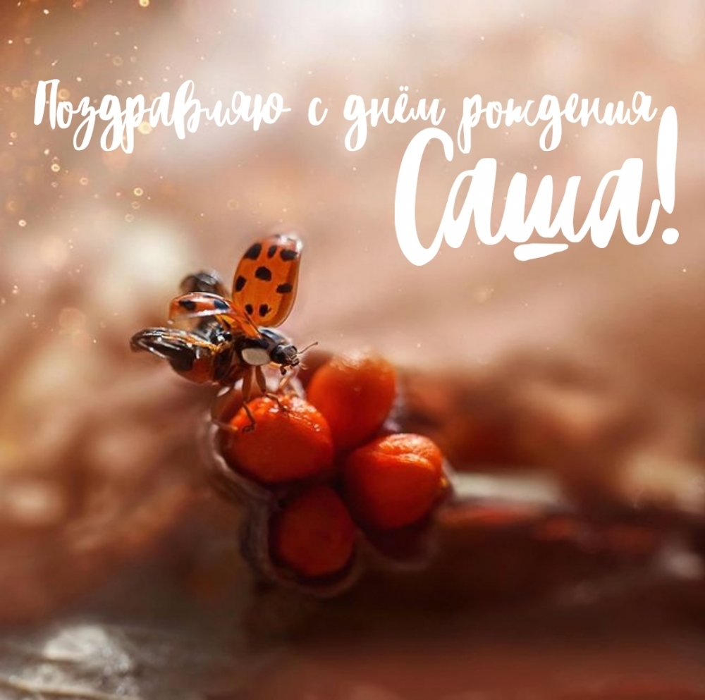Поздравляю с днём рождения Саша!