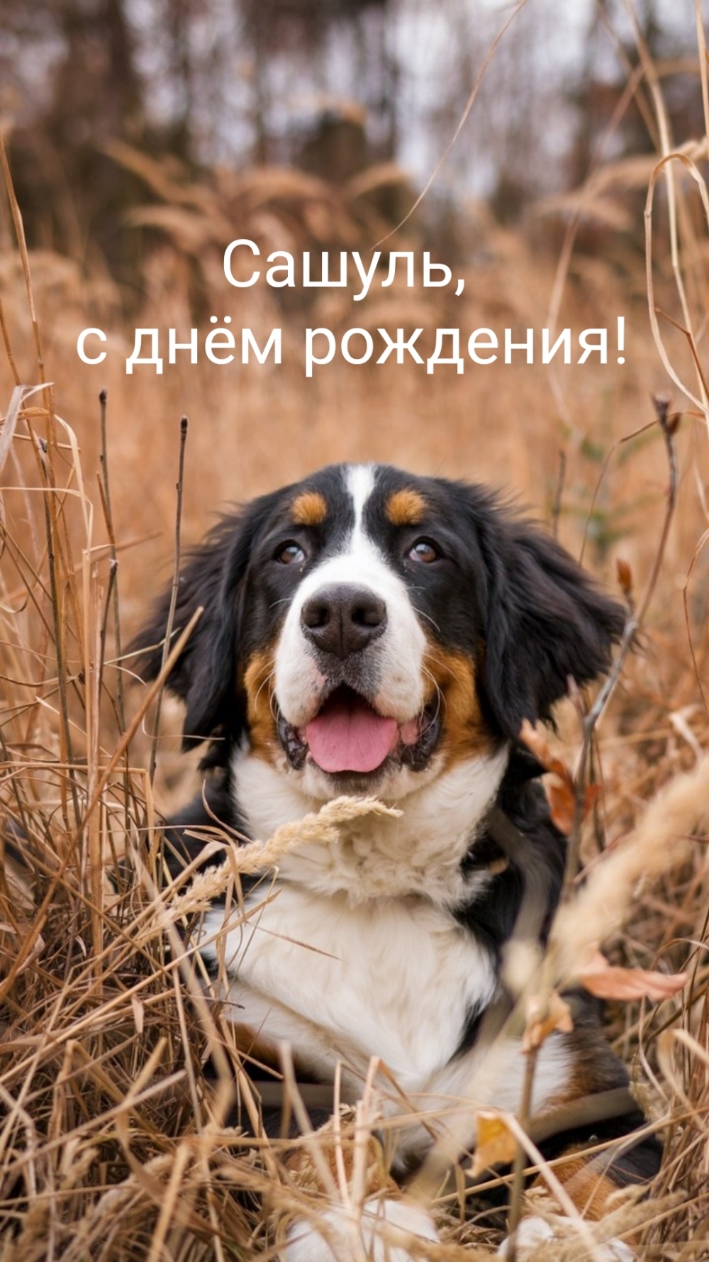 Сашуль, с днём рождения!