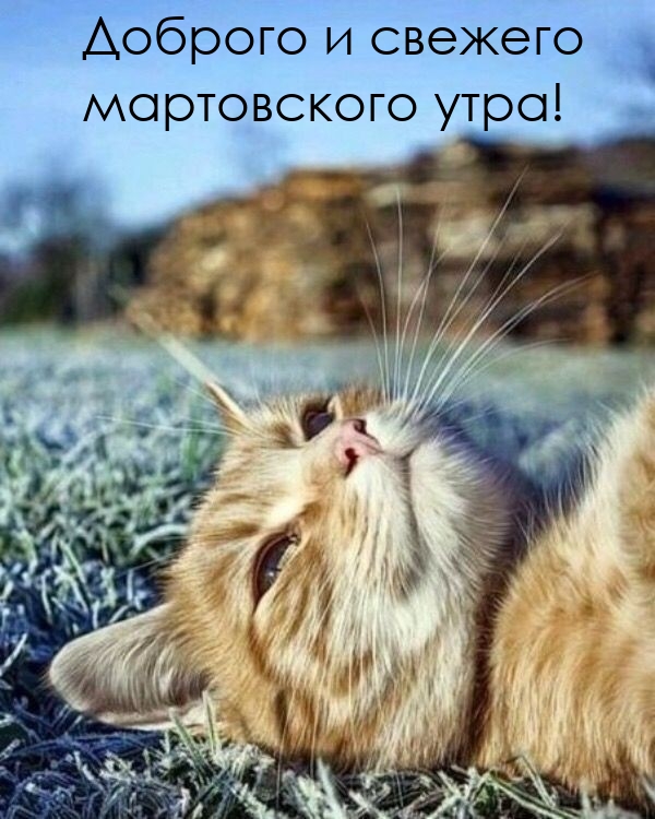Доброго и свежего мартовского утра!