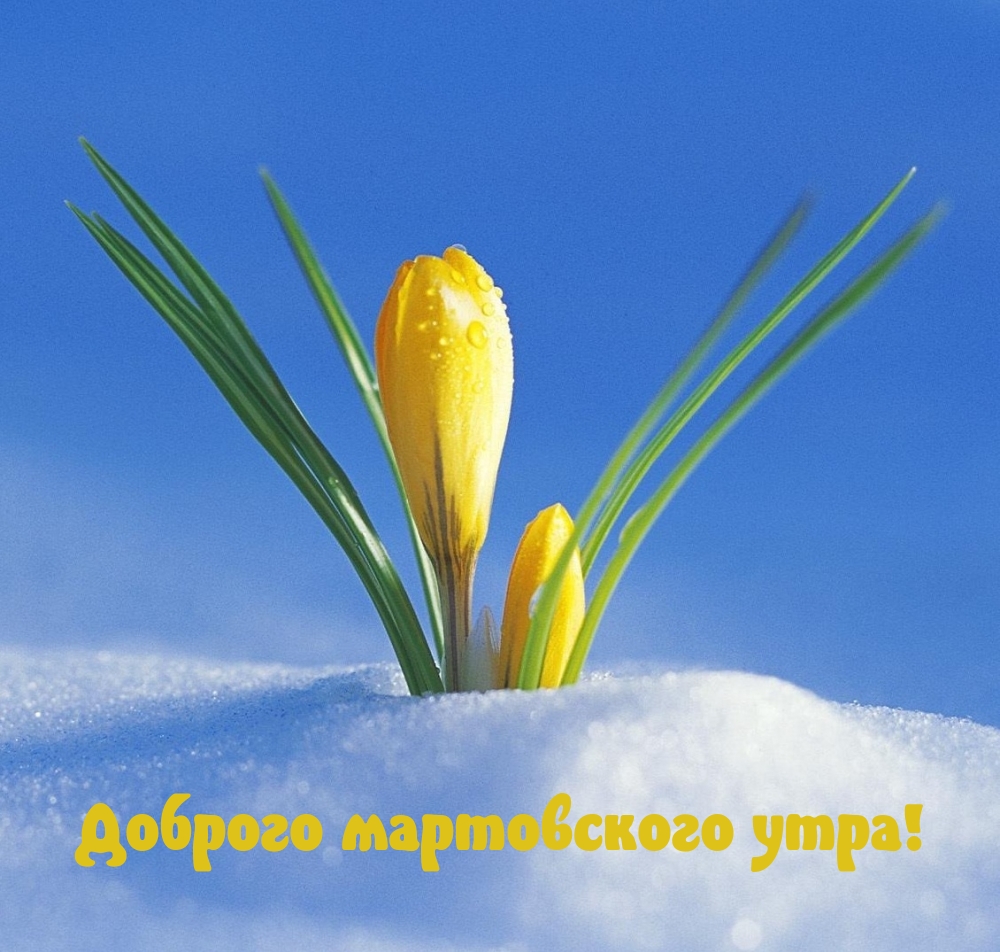 Доброго мартовского утра!