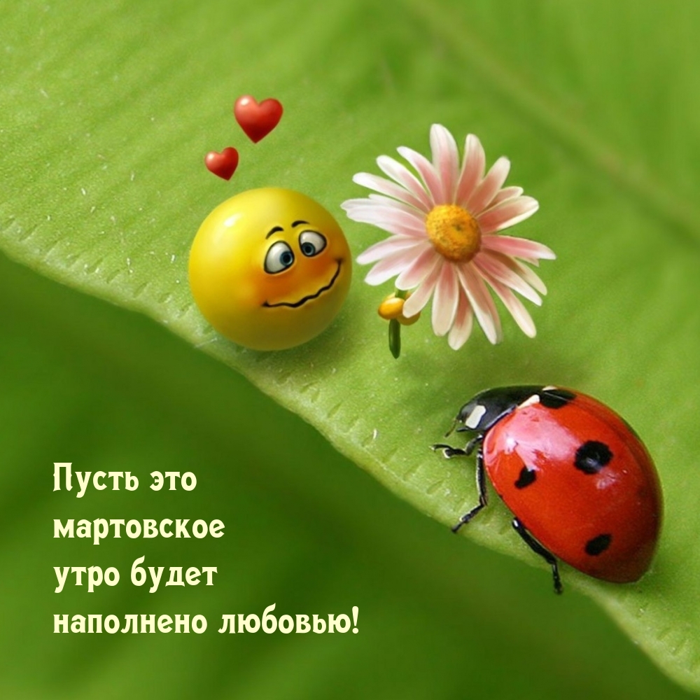 Пусть это мартовское утро будет наполнено любовью!