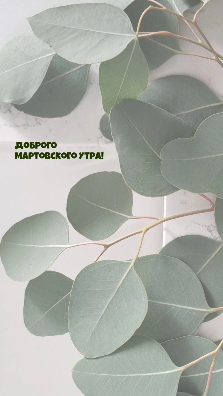 Доброго мартовского утра!