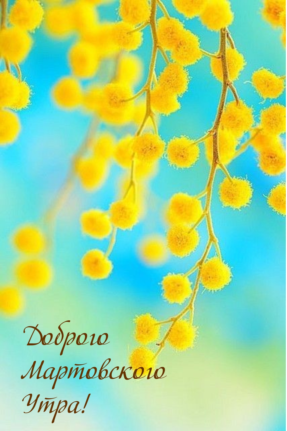 Доброго мартовского утра!
