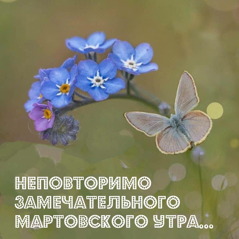 Неповторимо Замечательного Мартовского утра…