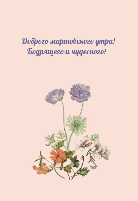 Доброго мартовского утра! Бодрящего и чудесного!
