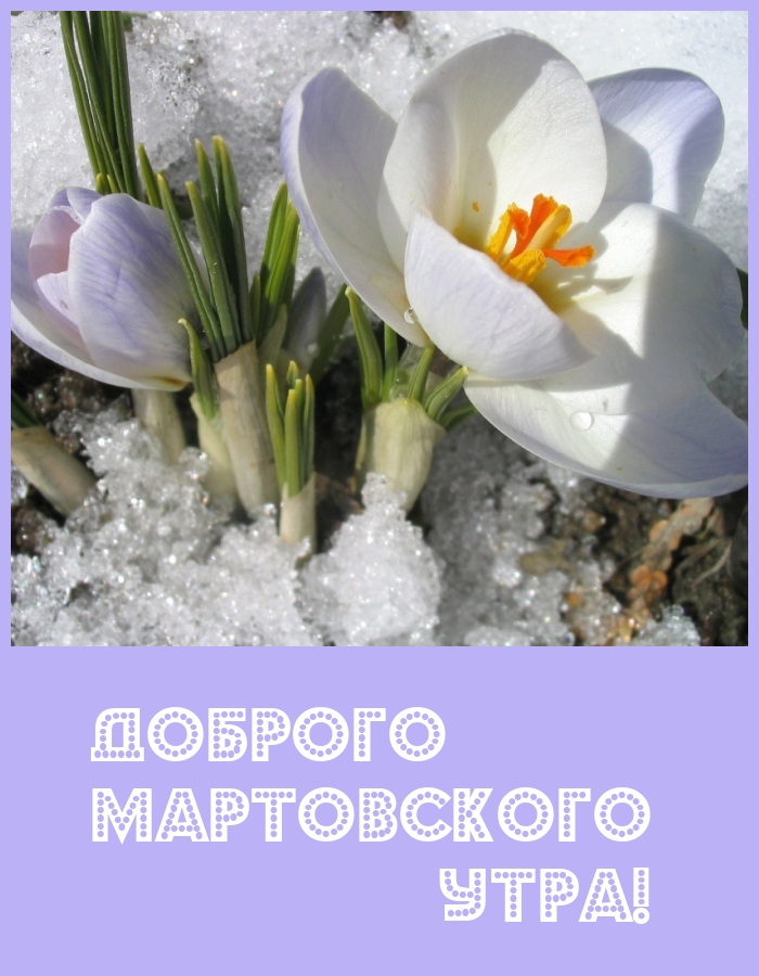 Доброго мартовского утра!
