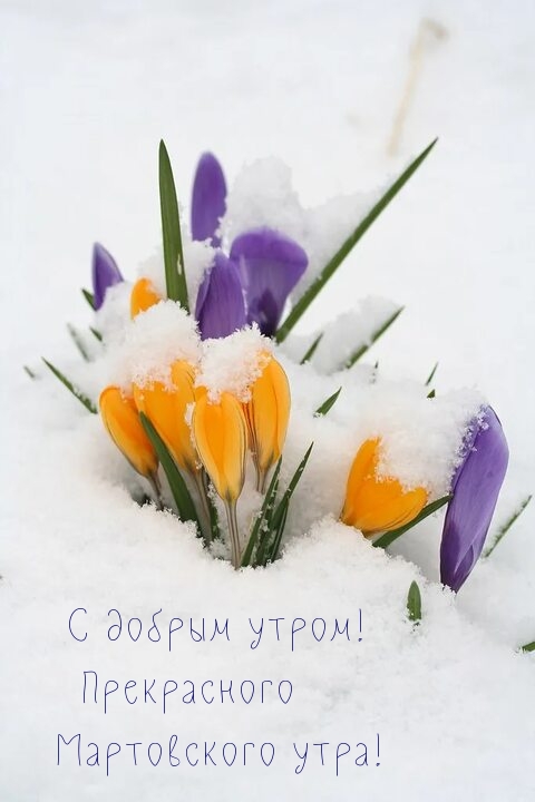 С добрым утром! Прекрасного Мартовского утра!