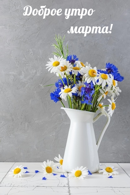 Доброе утро марта!