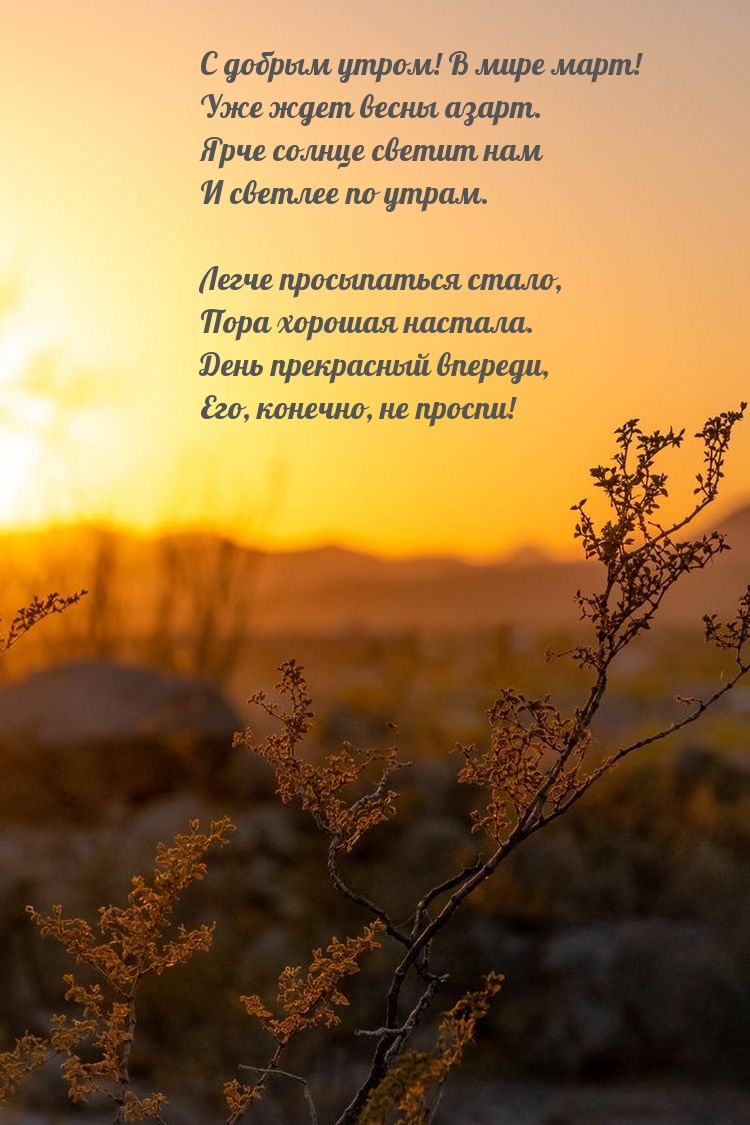 С добрым утром! В мире март! Уже ждет весны азарт.