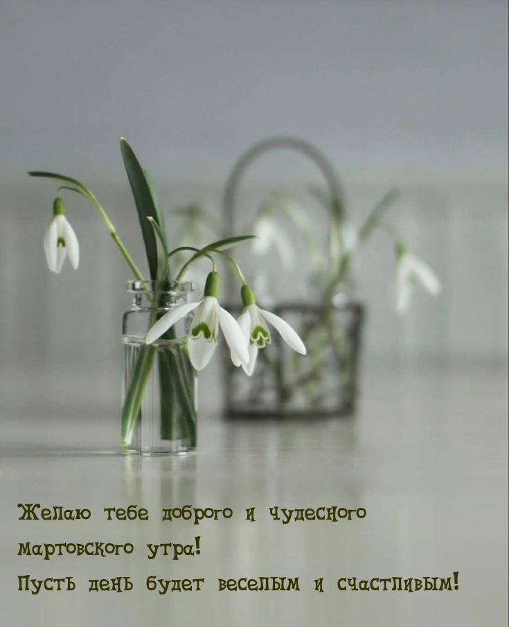 Желаю тебе доброго и чудесного мартовского утра!