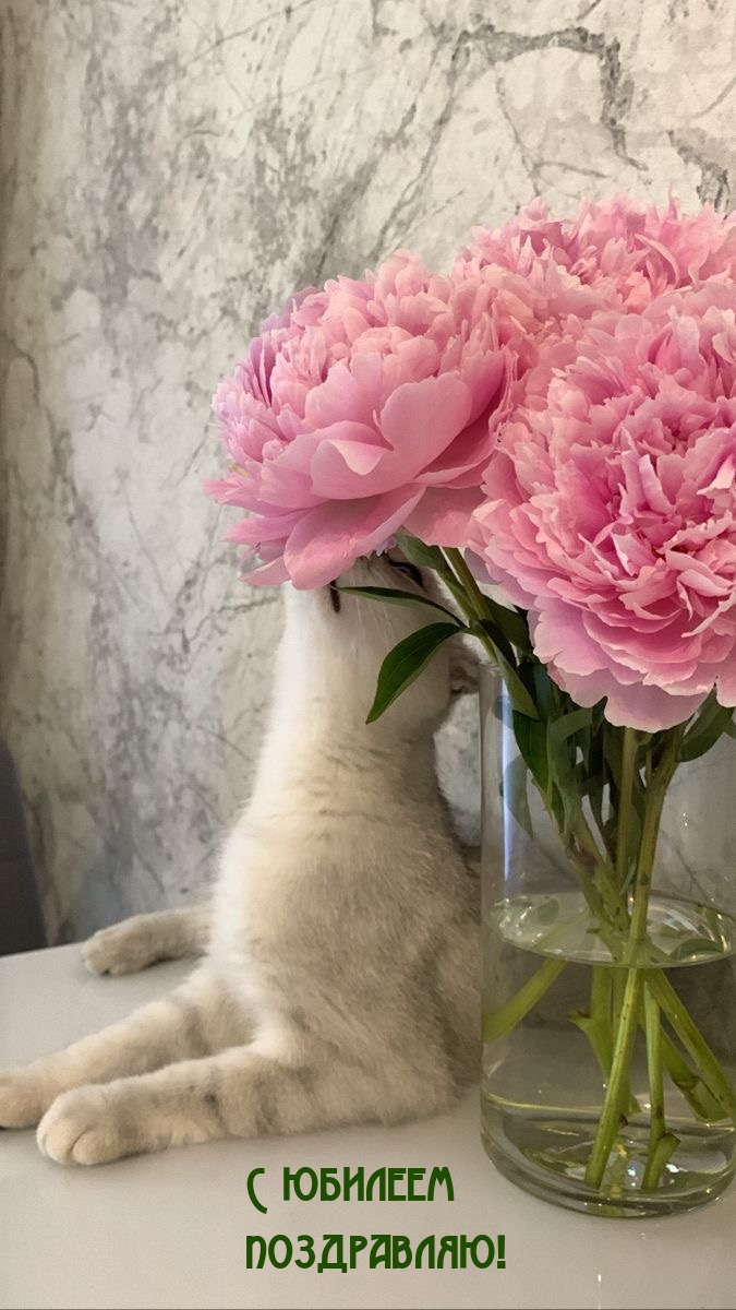 С юбилеем поздравляю!