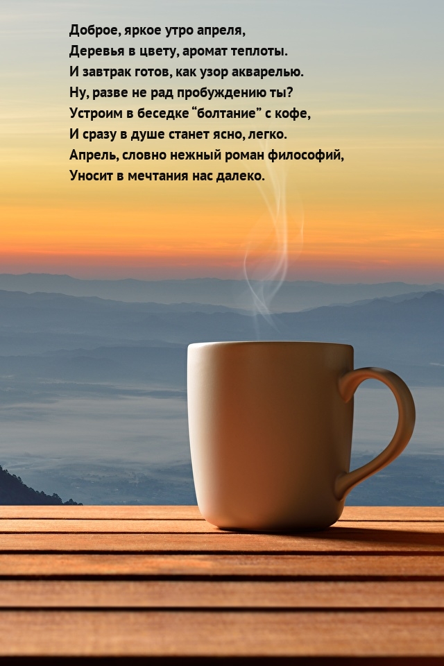 Доброе, яркое утро апреля, деревья в цвету, аромат теплоты.