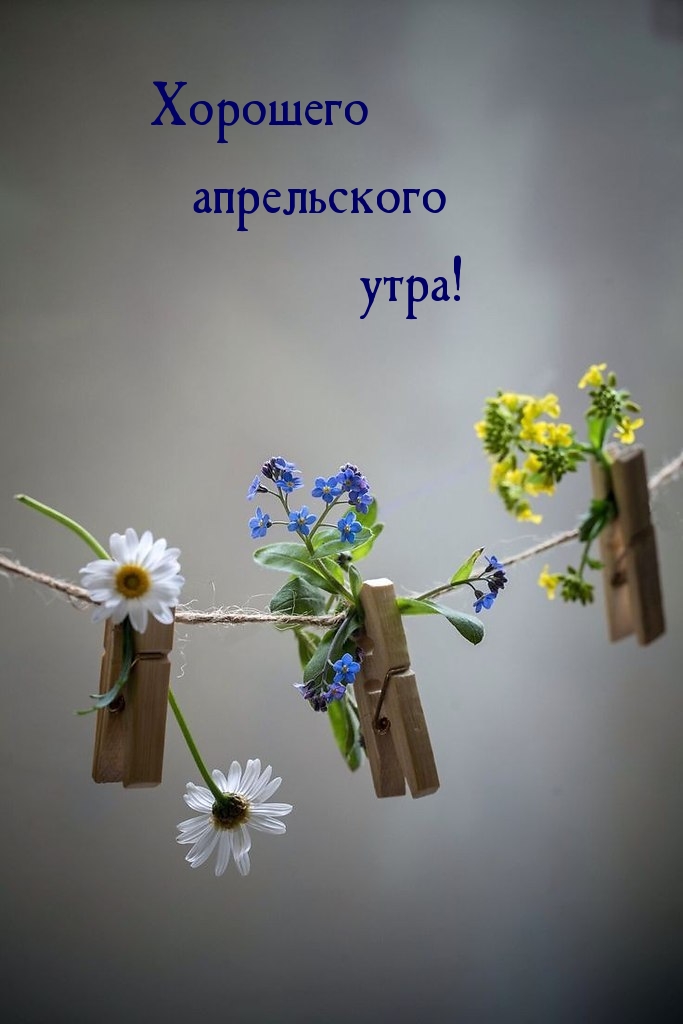 Хорошего апрельского утра!