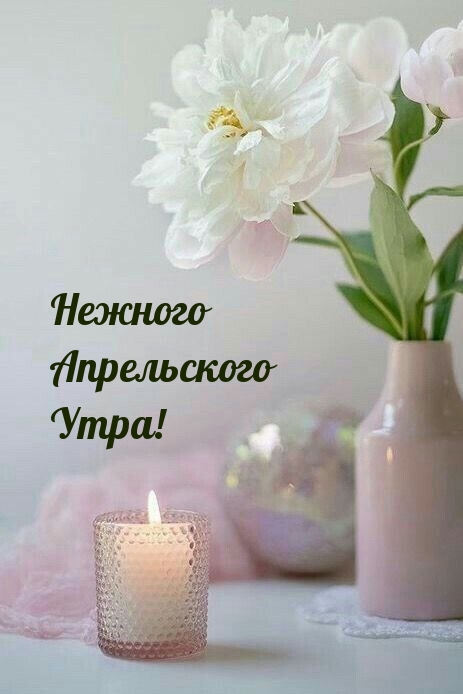 Нежного Апрельского Утра!