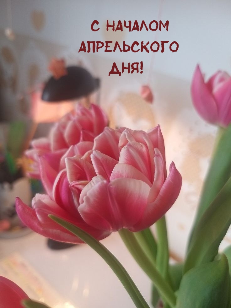 С началом Апрельского Дня!