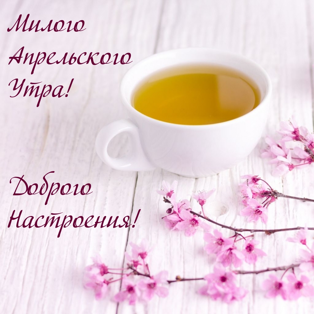 Милого Апрельского Утра! Доброго Настроения!