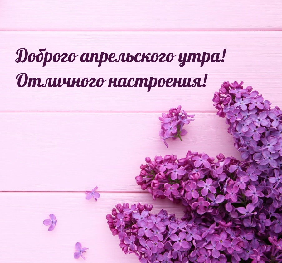 Доброго апрельского утра! Отличного настроения!