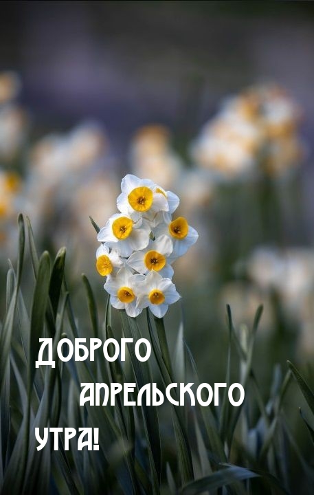Доброго апрельского утра!