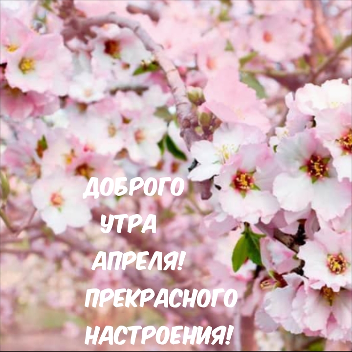 Доброго утра апреля! Прекрасного настроения!
