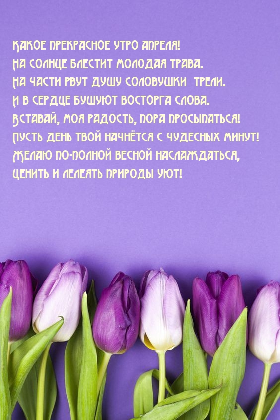 Какое прекрасное утро апреля! На солнце блестит молодая трава