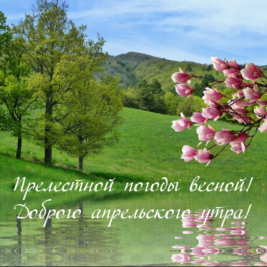 Прелестной погоды весной! Доброго апрельского утра!