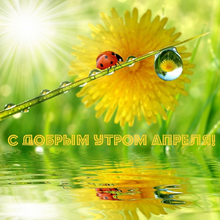С добрым утром апреля!